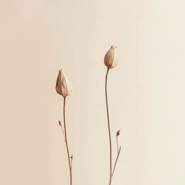 Flower illustration