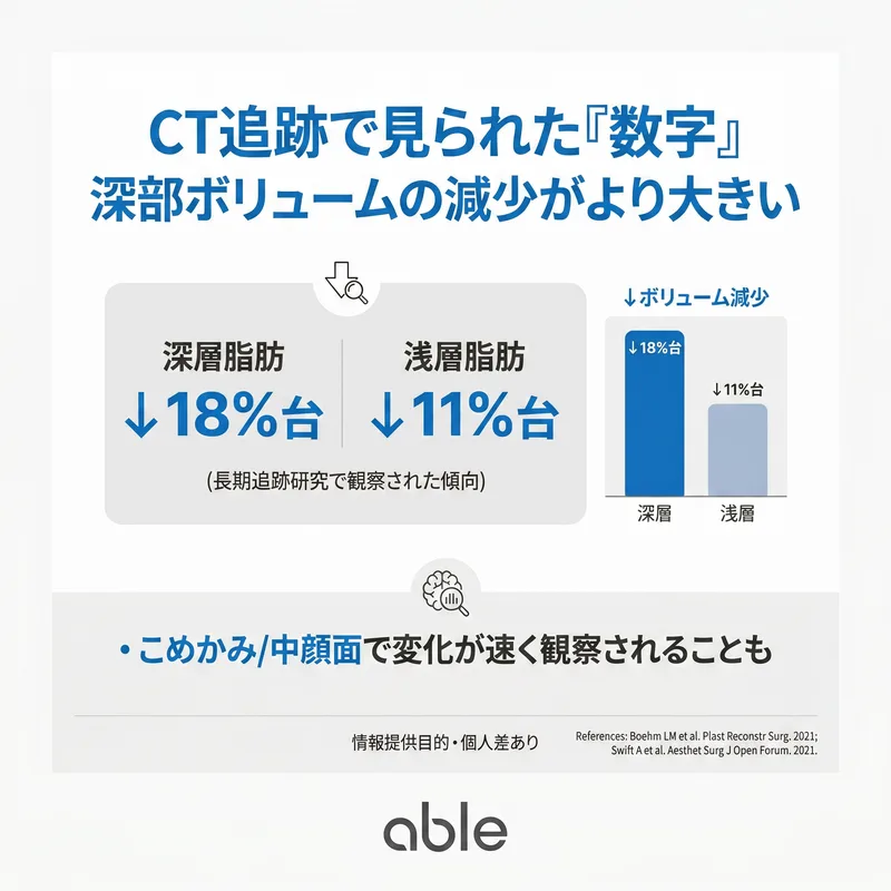 CT追跡研究結果：深部脂肪18%減少 vs 表在性脂肪11%減少比較グラフ