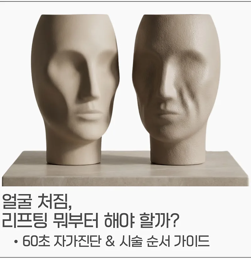 볼륨 소실형과 피부 이완형 처짐을 비교하는 얼굴 조각상 모형