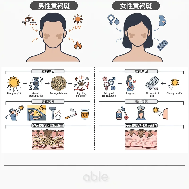 男性与女性黄褐斑的发生原因、恶化因素和真皮损伤对比信息图