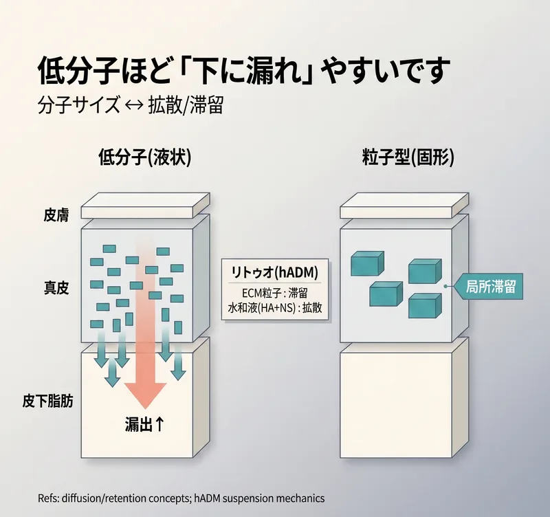 小分子液状vs粒子型固形スキンブースターの拡散・滞留比較