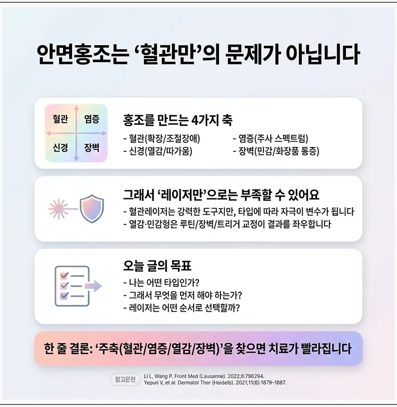 안면홍조의 4가지 축: 혈관, 염증, 신경, 장벽을 설명하는 인포그래픽